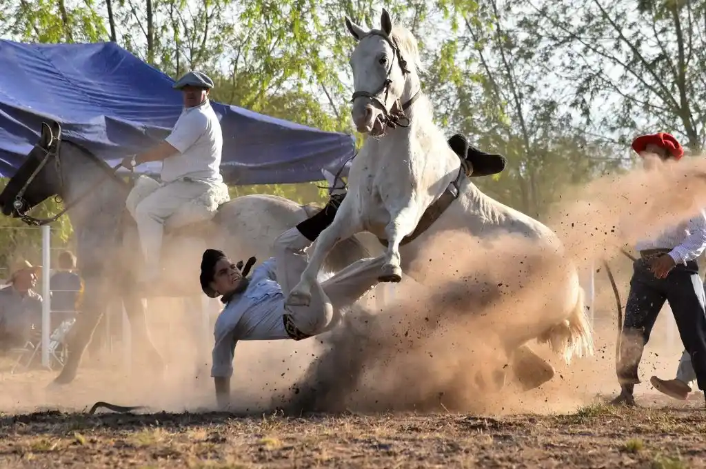 El pequeño se encuentra en el Hospital de Niños «Víctor J. Vilela» de Rosario