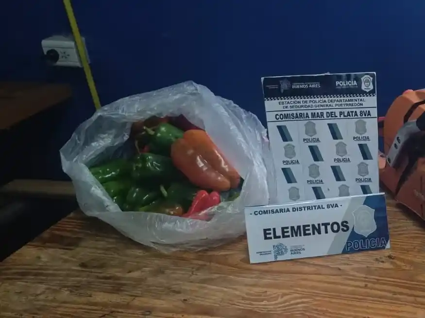 Tenía en su poder una bolsa con morrones recién cosechados.