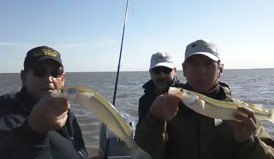 Se realiza este fin de semana el sextoTorneo de Pesca de Pejerrey 