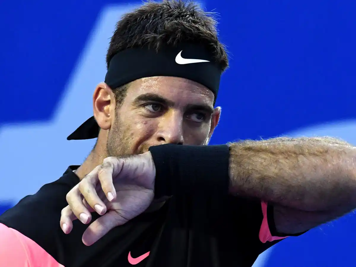 Del Potro pasó a semifinales en Acapulco