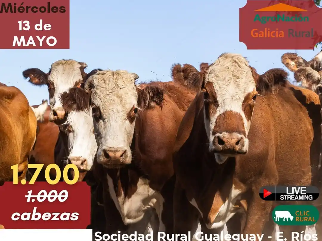 Gran remate en la Rural