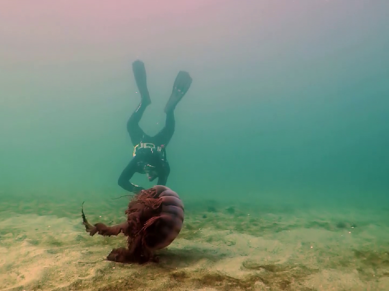 Misterios Submarinos, una serie de Pakapaka, ganó un premio internacional