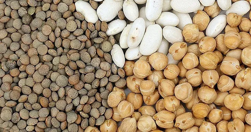 Sin chances de un dólar agro: por la sequía no hay legumbres para exportar