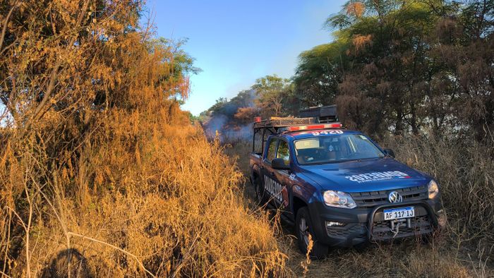 Grave incendio en un monte en zona rural: los Bomberos Zapadores y Voluntarios trabajaron horas para sofocarlo - 2