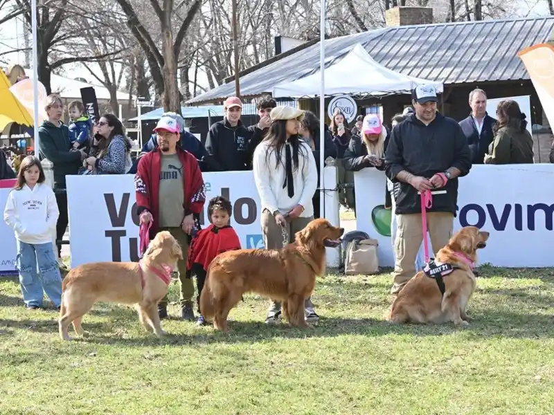 Los perros fueron protagonistas de una jornada a puro amor.