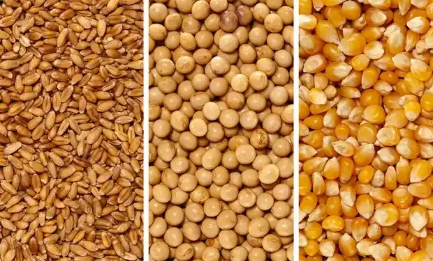 Cierre de los mercados del 9 de septiembre
