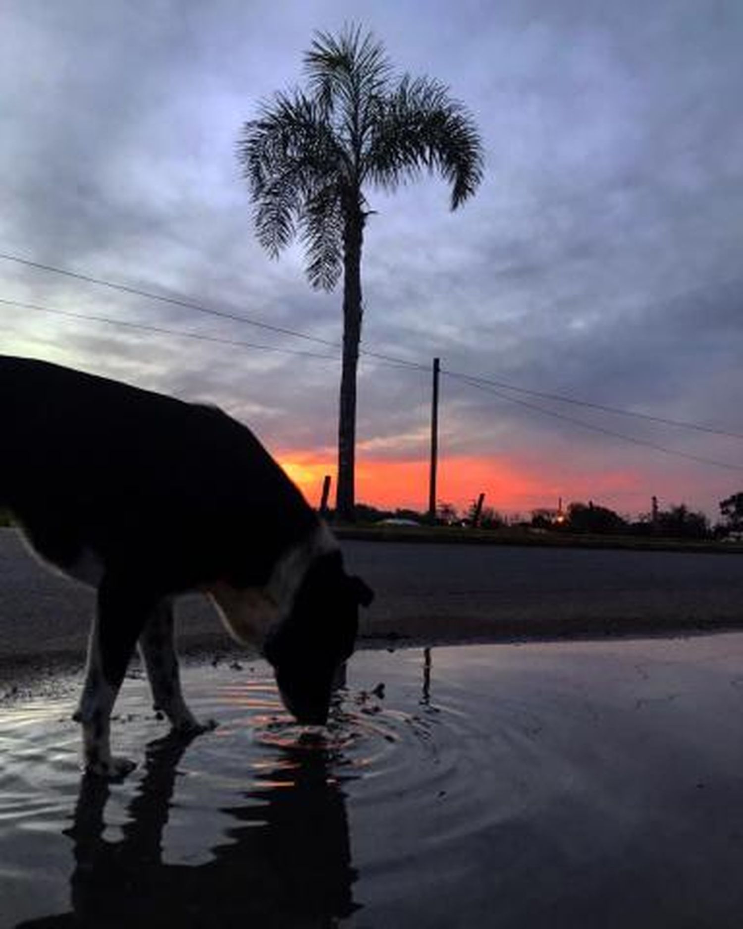 Una mirada a la fotografía
