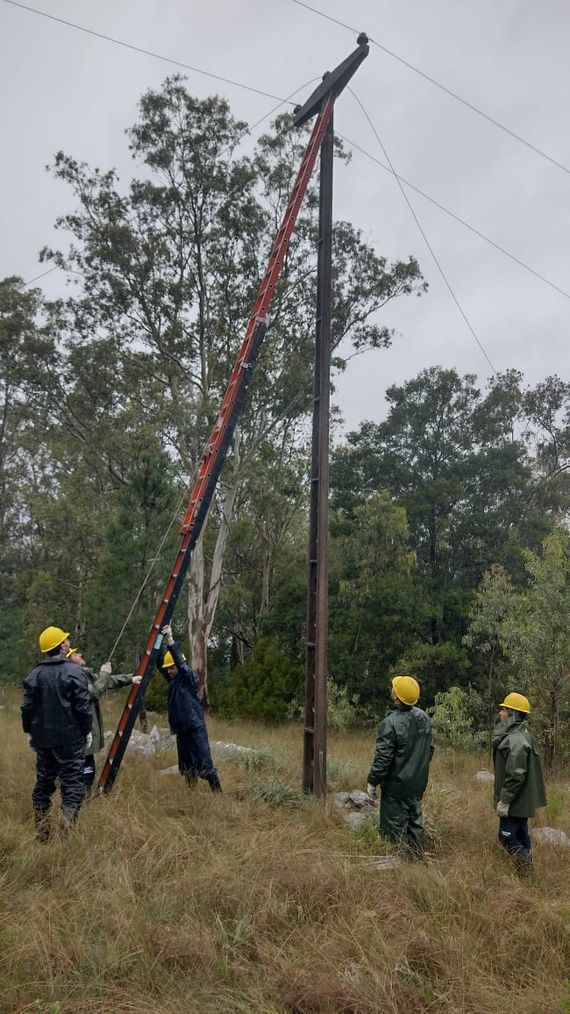 Corte de energía por la caída de un árbol talado