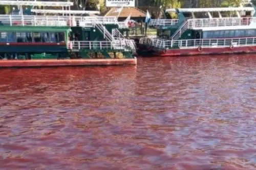 El color rojo del río Tigre estaría vinculado a un «vuelco clandestino»