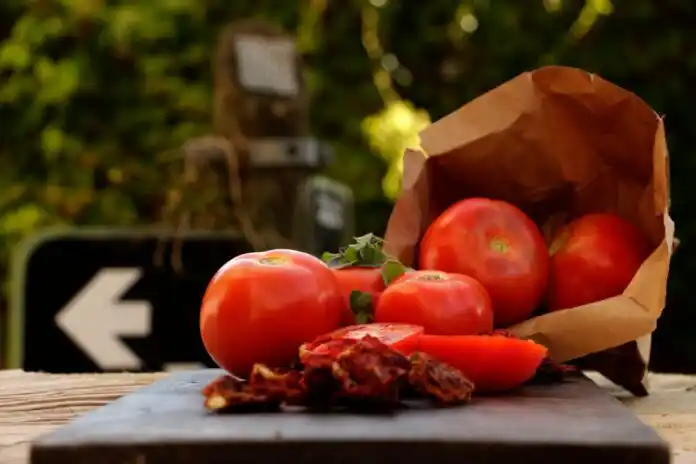 Con la firma del ministro Javier Rodríguez, se registró el tomate platense como especie criolla en el INASE