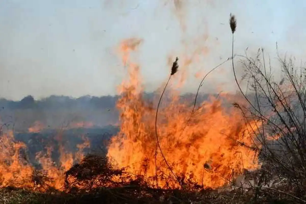 En un día, los Bomberos Voluntarios extinguieron una docena de incendios en diferentes puntos de la ciudad