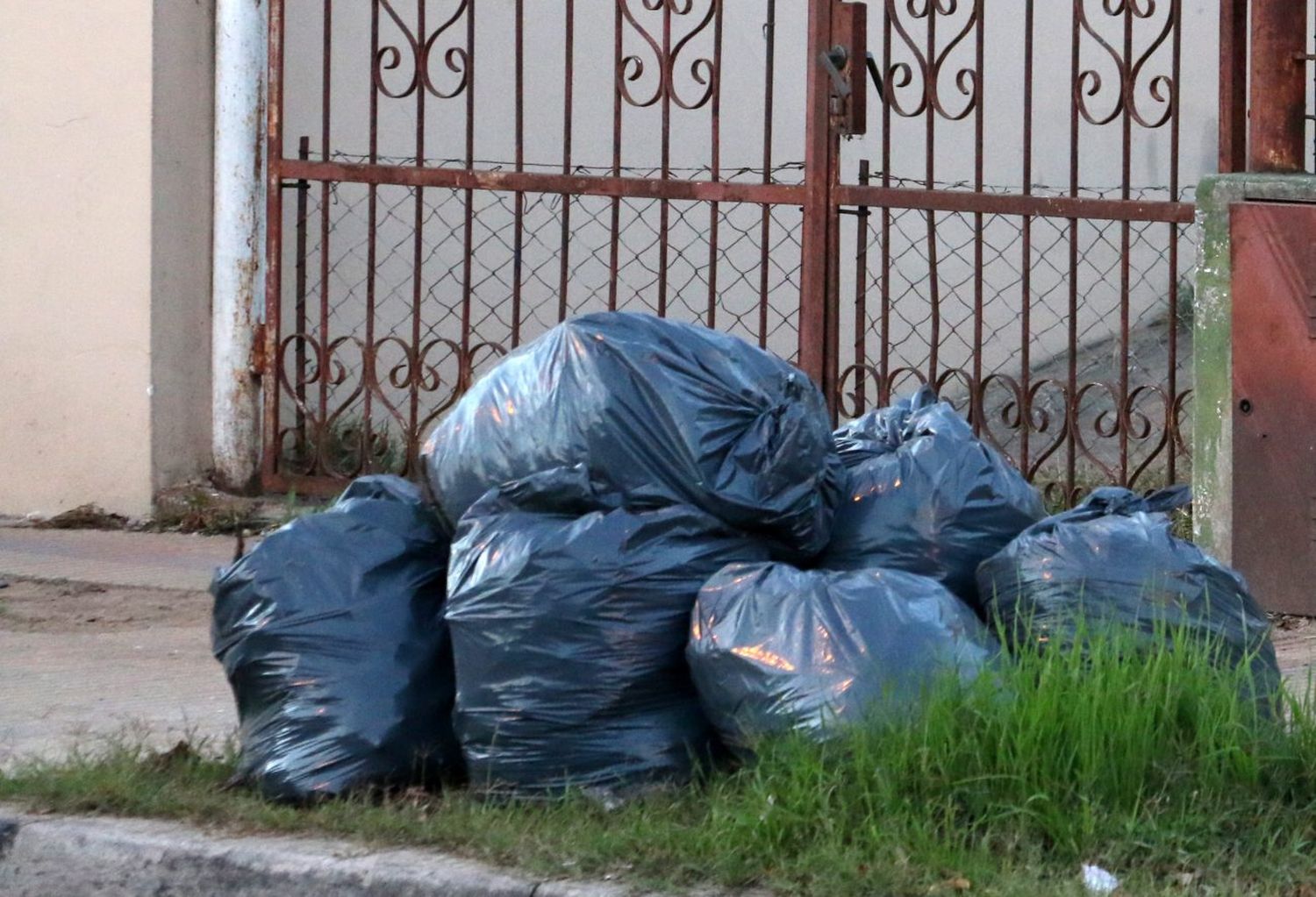Servicio de recolección: “Todavía no se ha resuelto el conflicto”