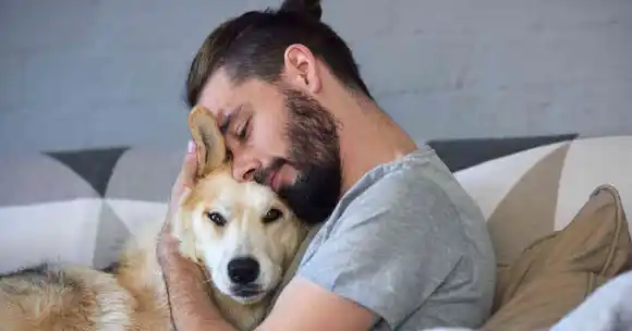 Estudio demuestra que los perros lloran al reencontrarse con sus dueños