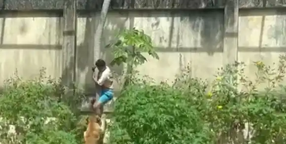 IMÁGENES SENSIBLES | Murió atacado por una leona tras meterse en la jaula en un zoológico de Brasil