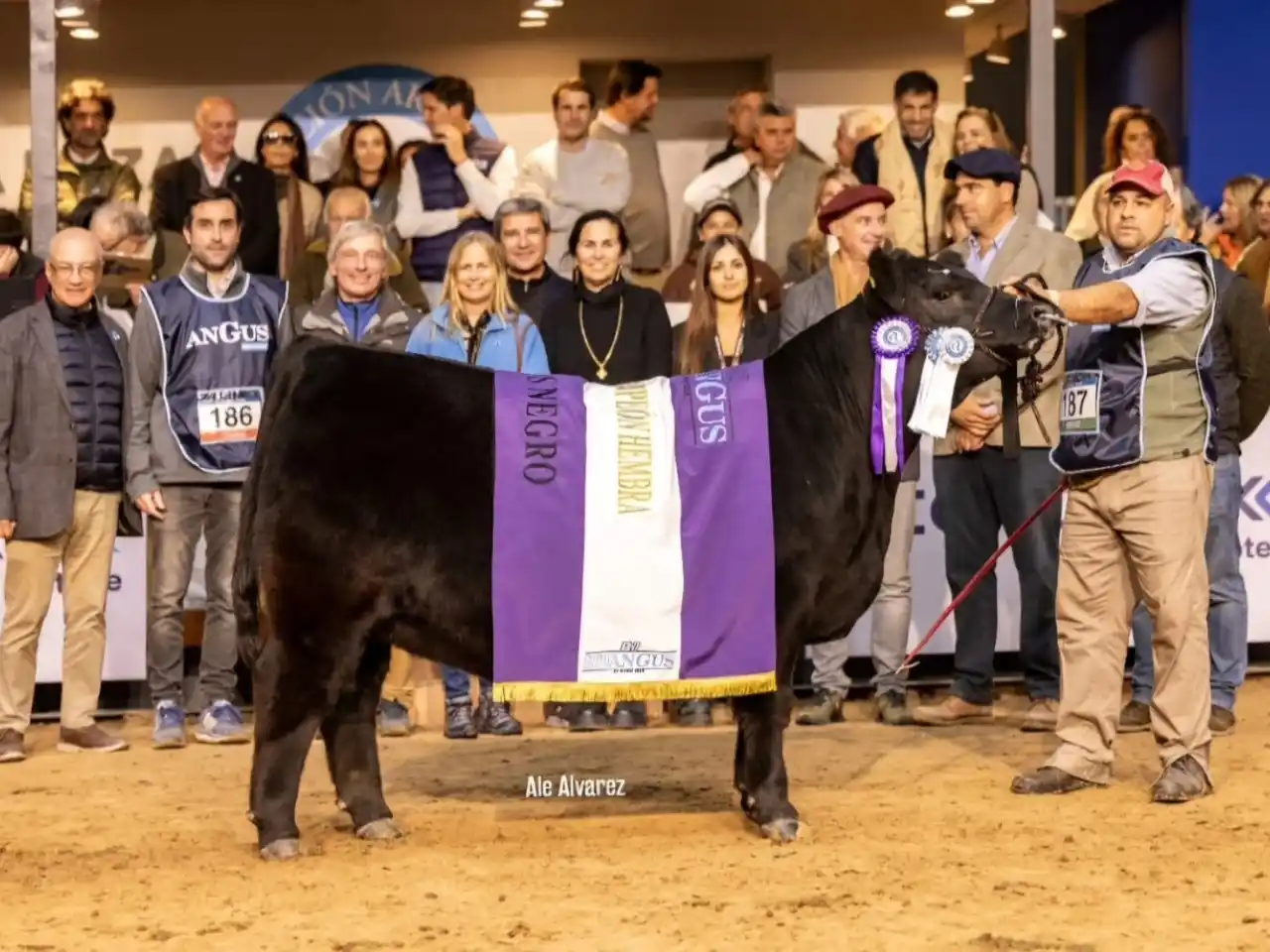 Nueva incorporación en ganadería para la Conchera SA