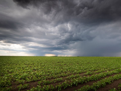Especialistas del INTA estiman una primavera variable y un verano con clima neutral