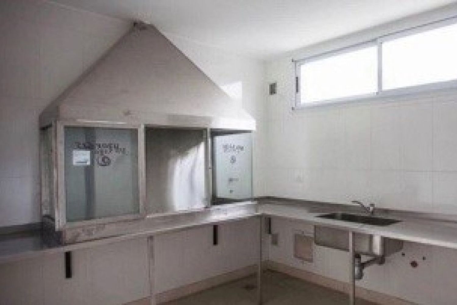 Horror en la morgue: denuncian que hay una plaga de ratas  que ya habría mordido dos cadáveres