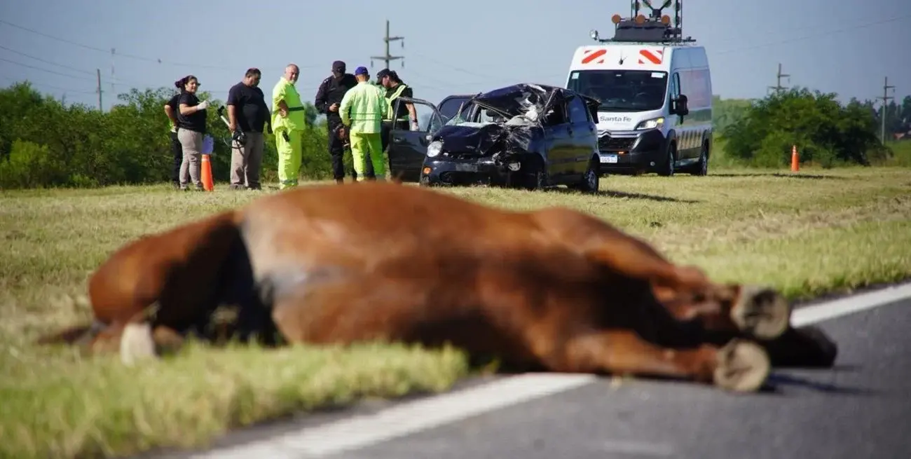 Un hombre murió tras chocar contra un caballo suelto en la Autopista Rosario-Santa Fe