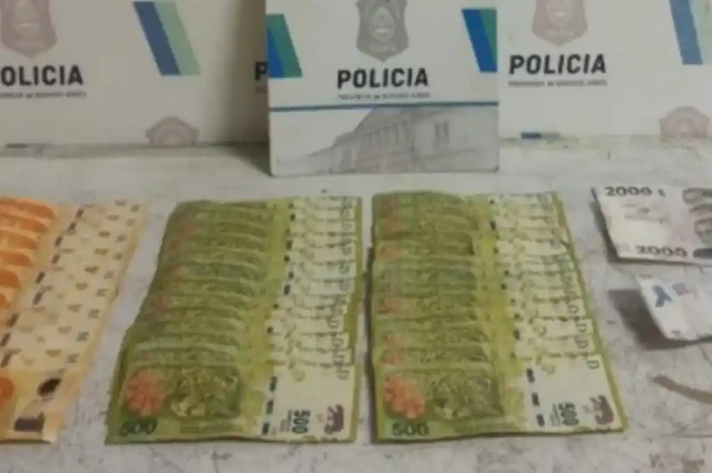 Se recuperaron 29.550 pesos que la delincuente había robado del lisiado.