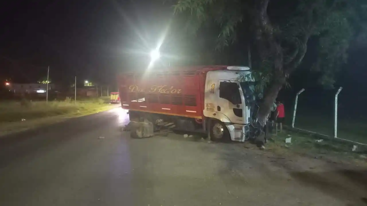 Se habría dormido, perdió el control del camión e impactó contra un árbol