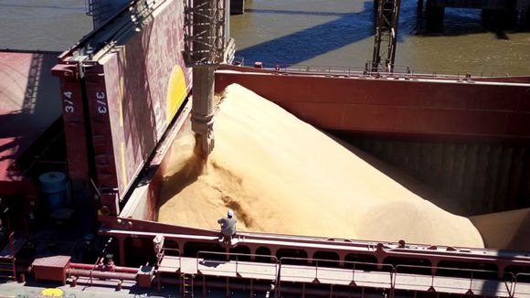 El Gran Rosario consolida su liderazgo global como nodo exportador de alimentos