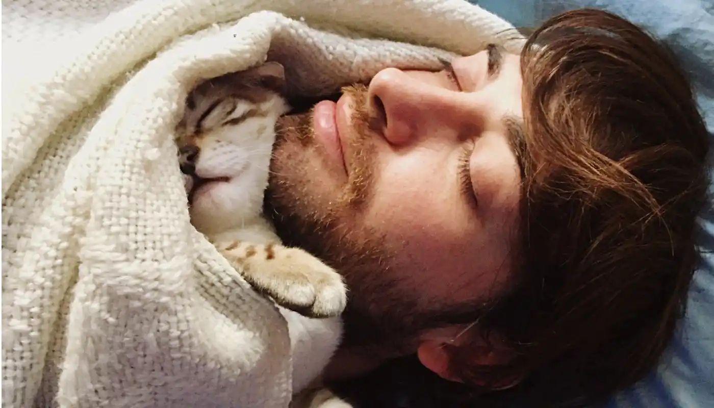 ¿Por qué los gatos eligen dormir sobre las personas, según la ciencia?