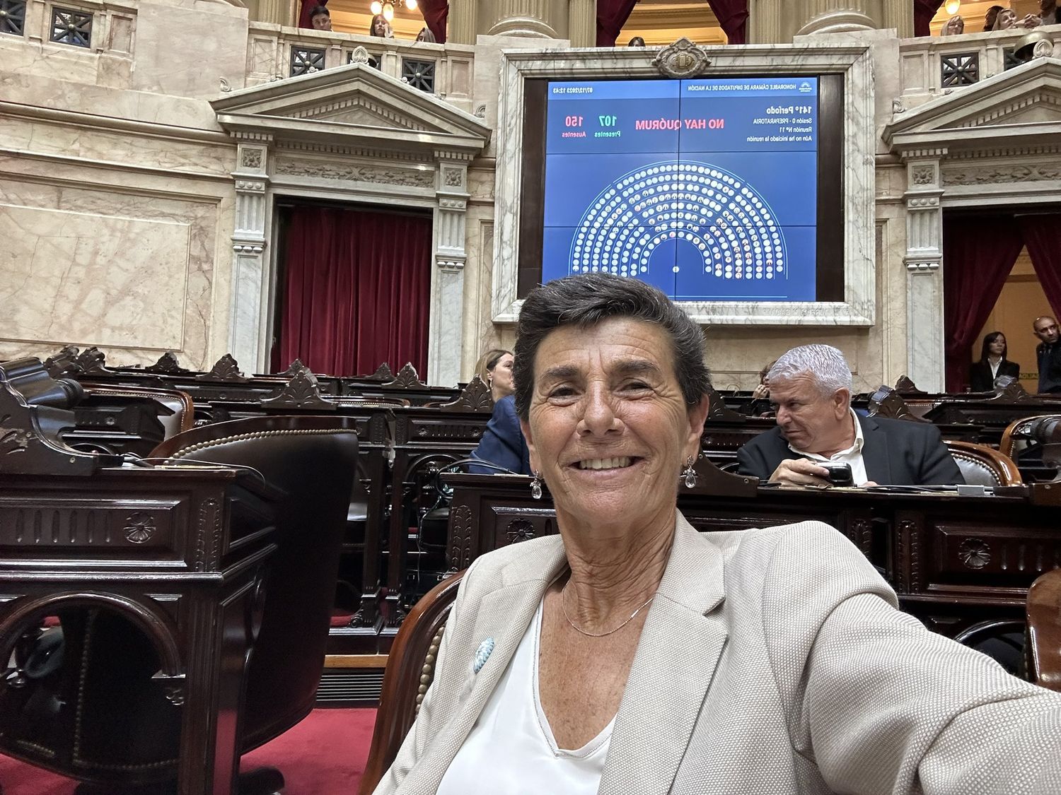 La diputada bonaerense Patricia Vázquez presentó el proyecto para eliminar los registros automotores y tener patente única