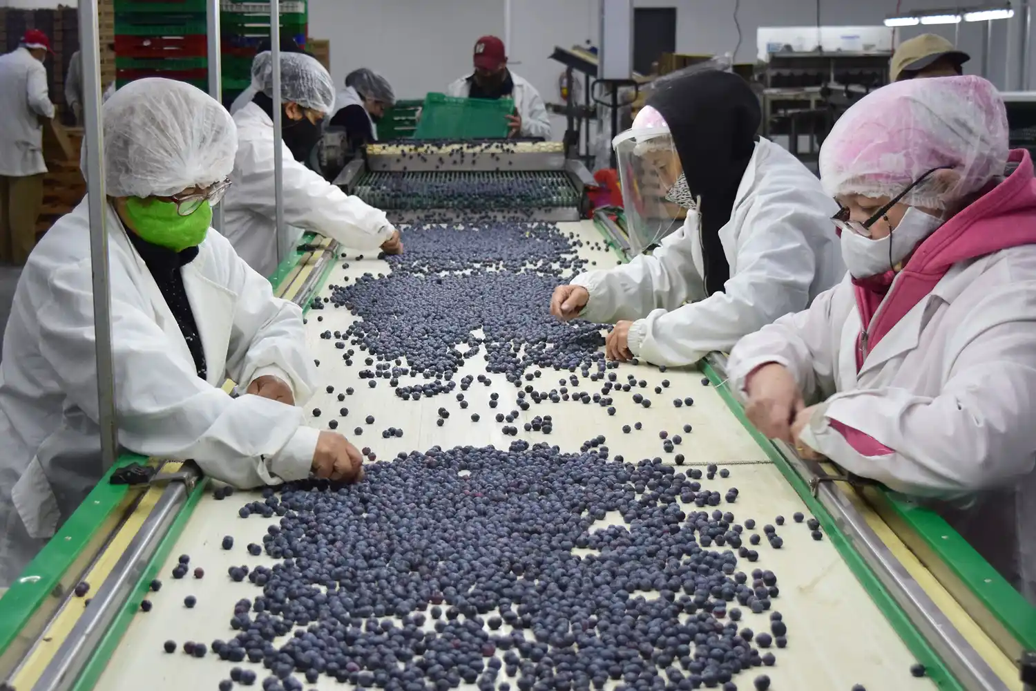 Se frenó el crecimiento del empleo registrado, según datos oficiales