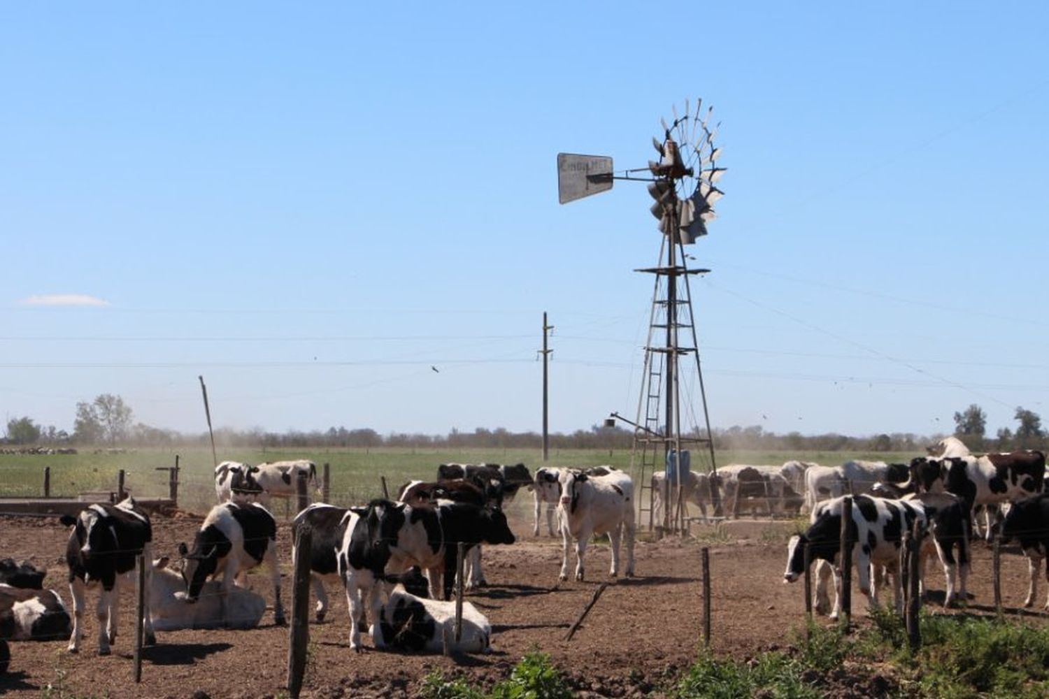 Impulso tambero: Santa Fe lidera las solicitudes de compensación para el sector