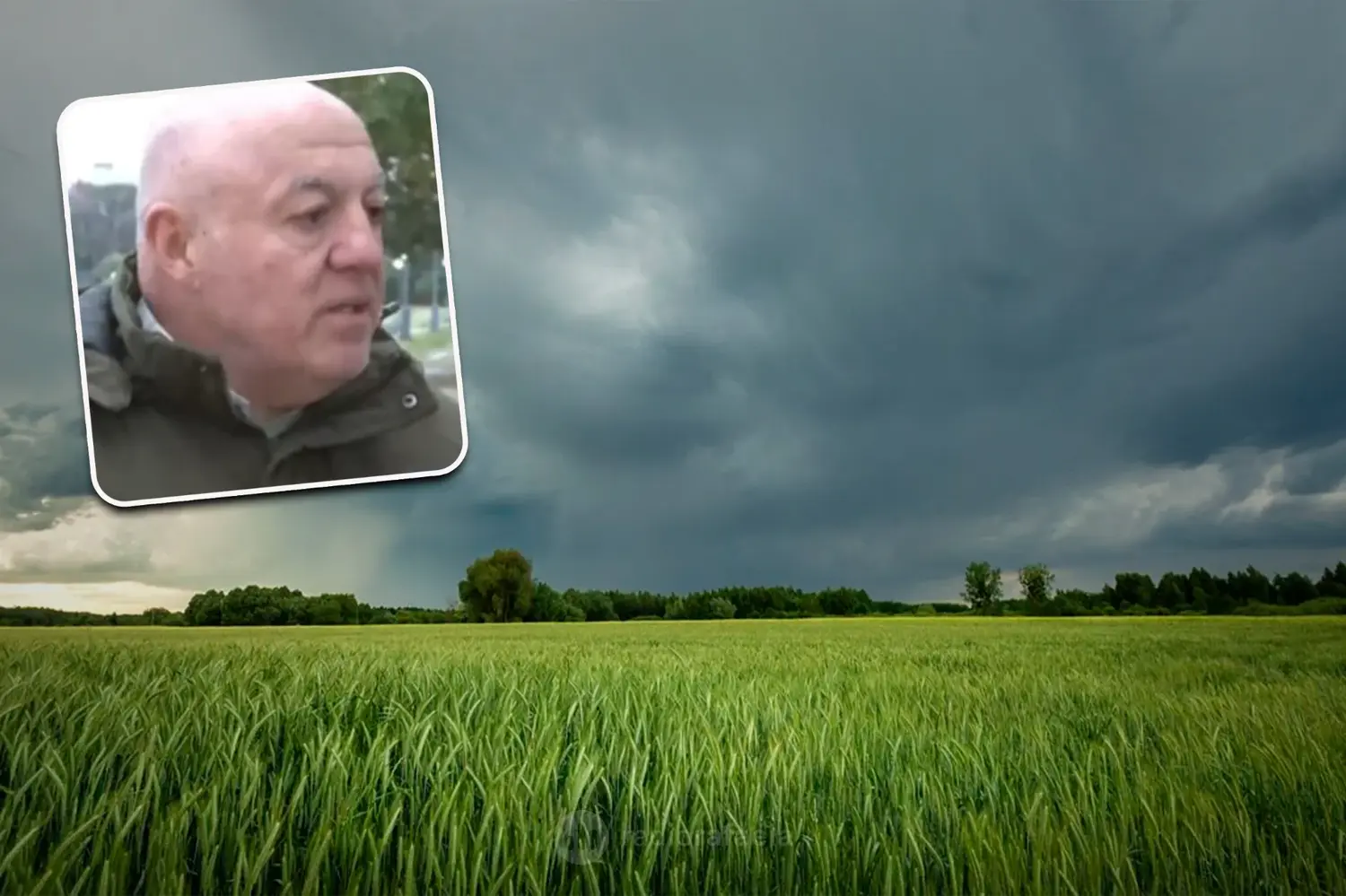 Nos robaron la primavera, ¿es consecuencia del fenómeno meteorológico de El Niño? | Luis Dopazo, meteorólogo
