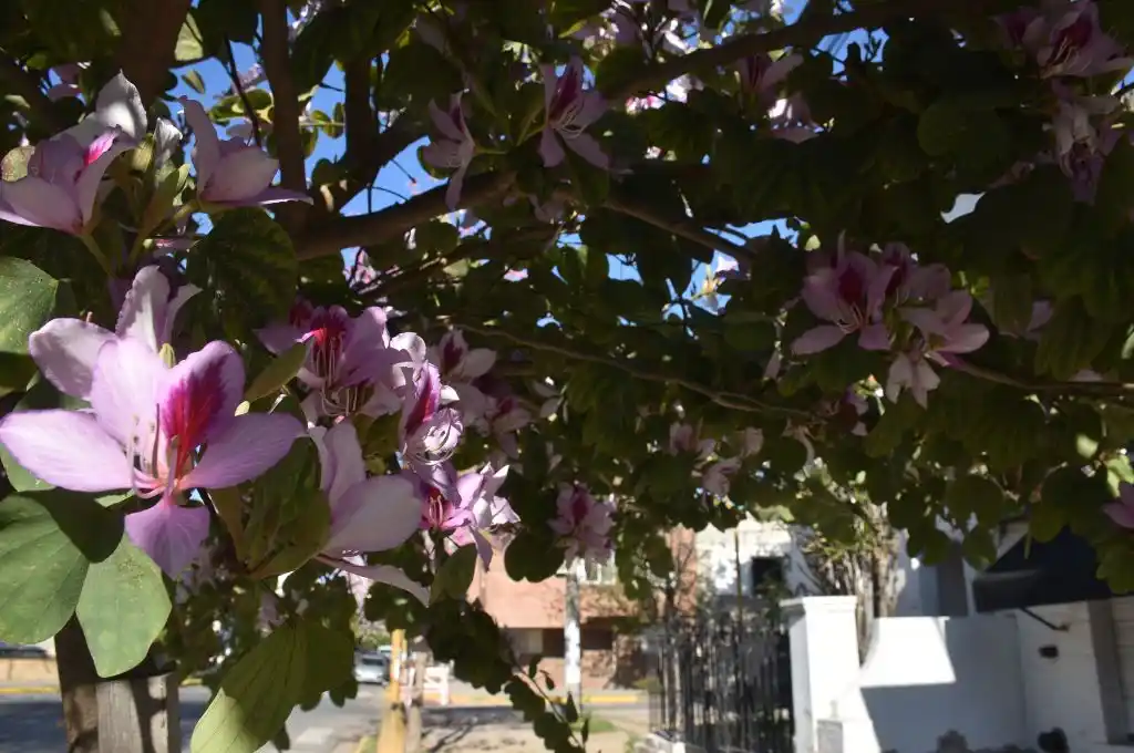 Jueves despejado y frío en la ciudad de Santa Fe