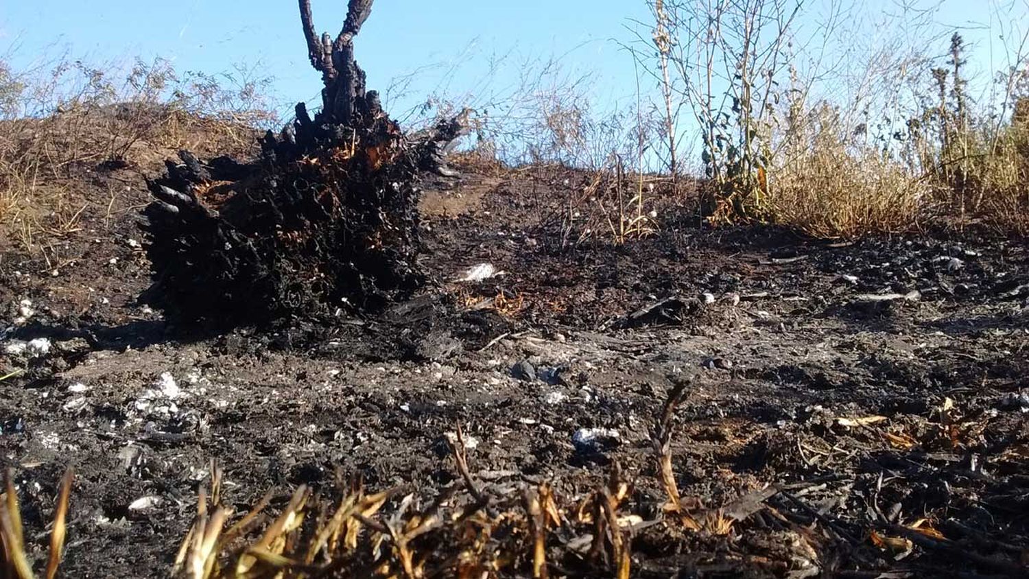incendio-reserva-3