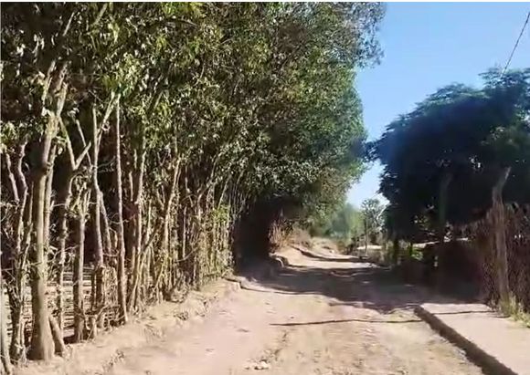 Camino a La Tosquera: hecho pedazos