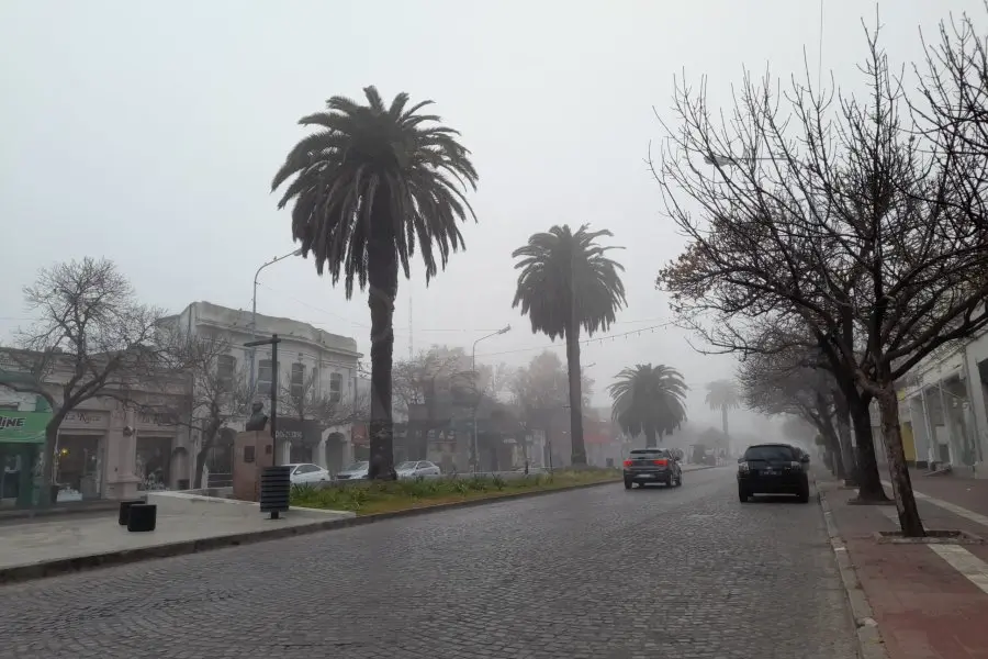 La niebla se transformó en llovizna: húmeda mañana en la ciudad con calzadas resbaladizas