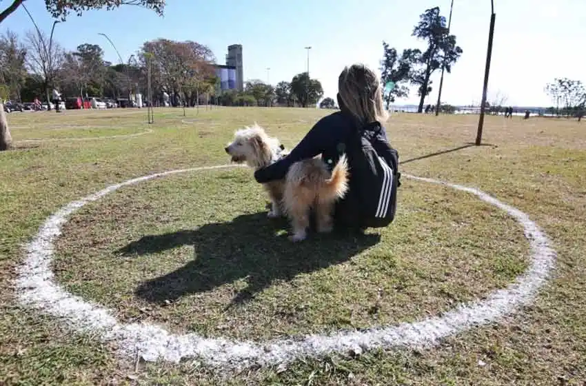 Clima en Rosario: domingo de otoño soleado, con temperaturas bajas por la mañana
