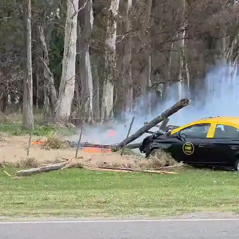 Un auto despistó, chocó una luminaria y se generó un incendio de pastizales