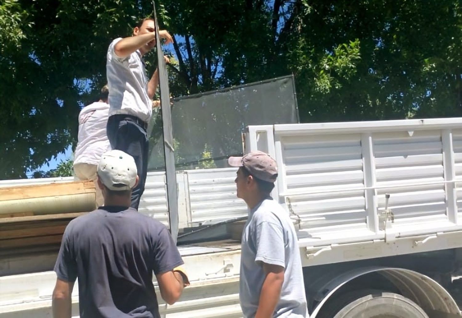 mosquiteros - 1