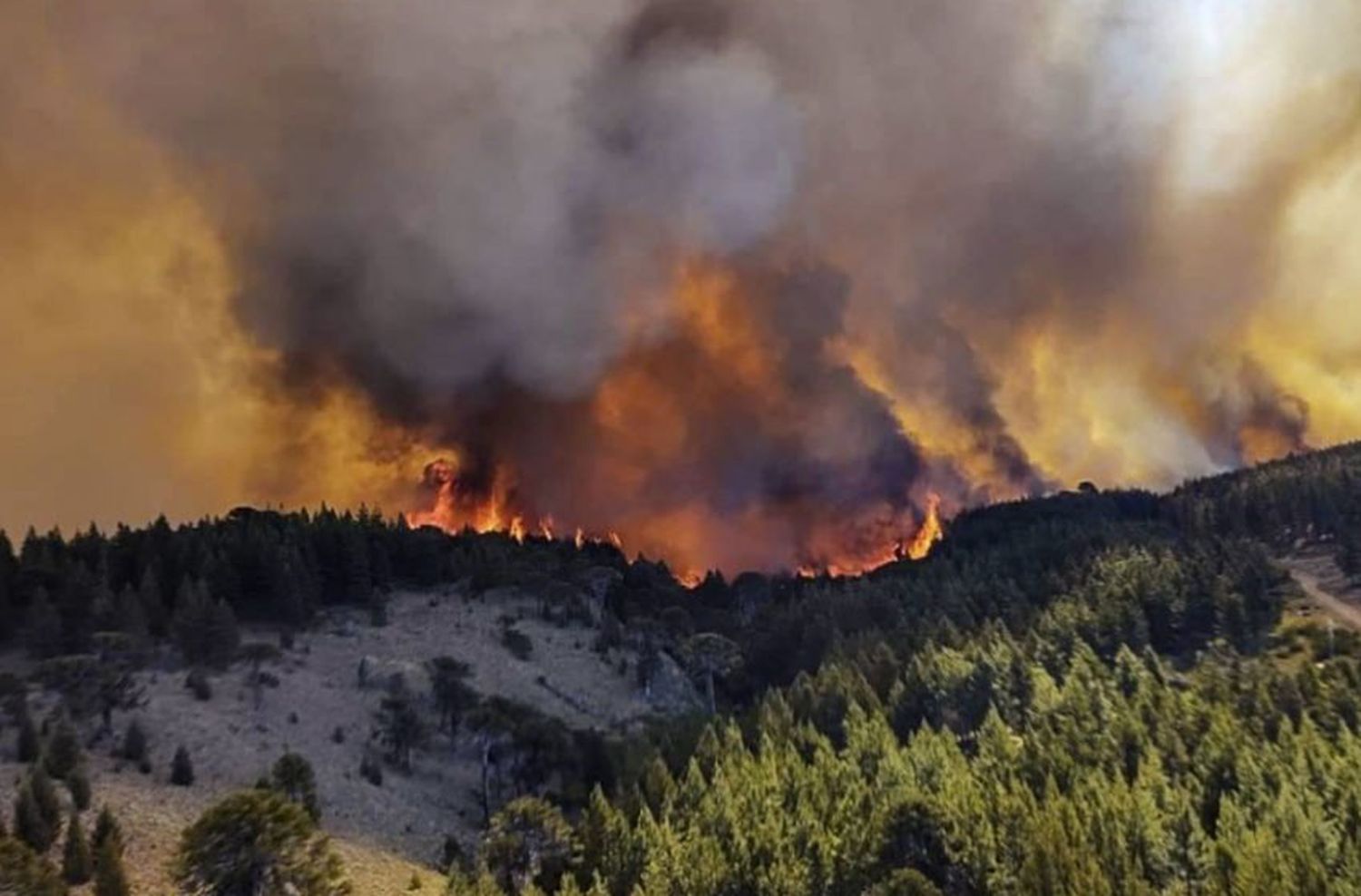 El Gobierno declaró el estado de emergencia agropecuaria en Misiones, Córdoba y Mendoza