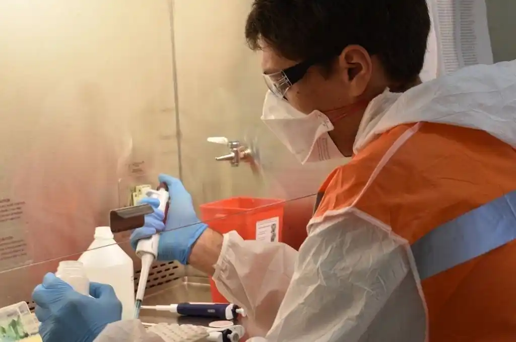 Laboratorio Central: 120 muestras por día y una curva que sigue creciendo