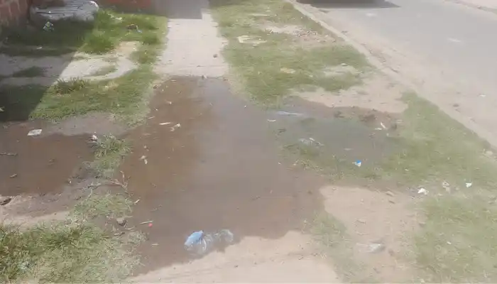 Cloacas rebalsadas en calle Brenan