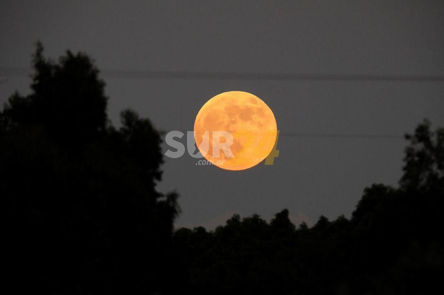 Video: observá en directo el eclipse parcial de luna más largo del siglo