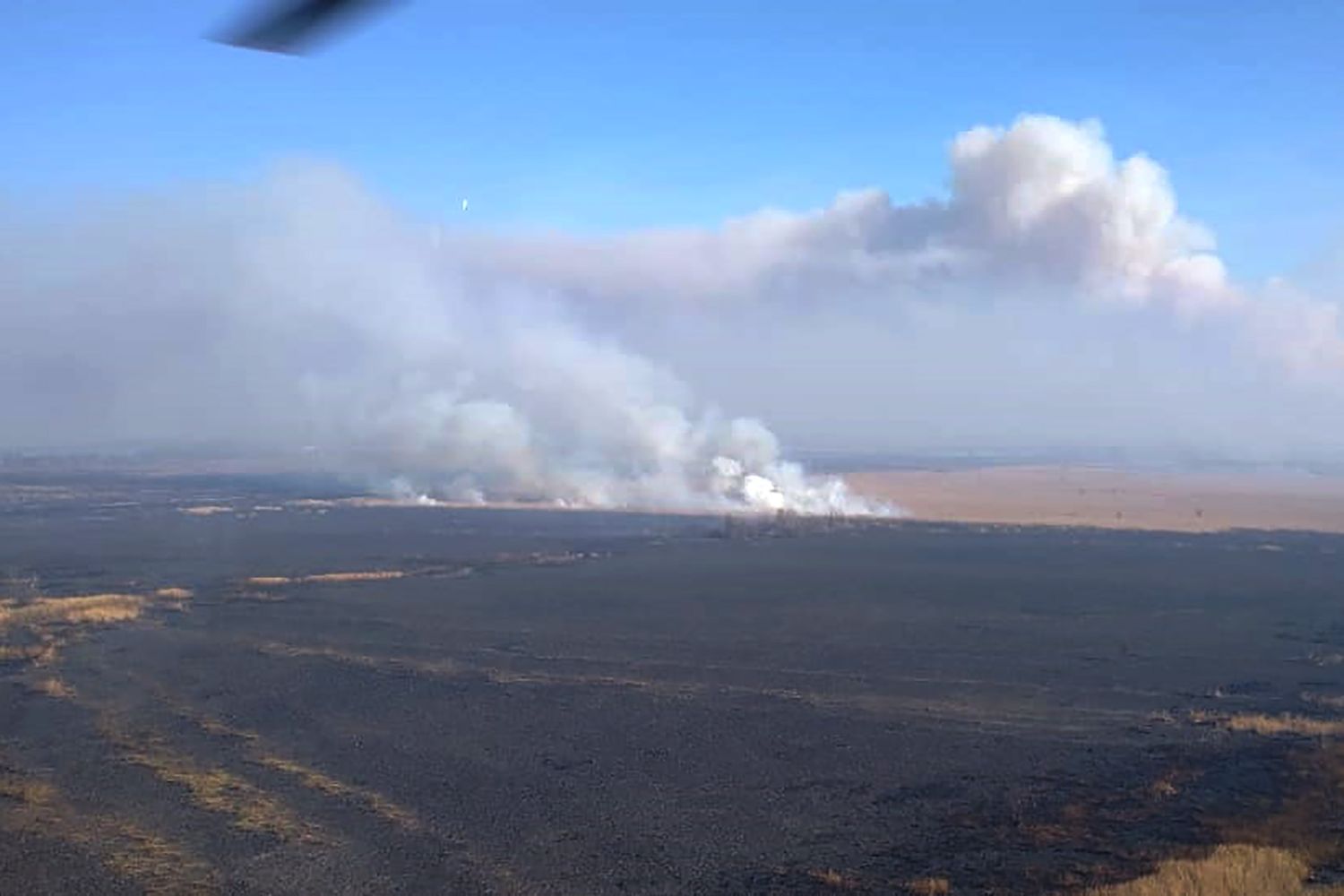 Este domingo se intensificó el combate de incendios en Islas Lechiguanas