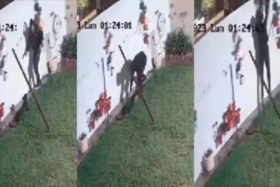 Encontró a un “tipo” bajando de un tapial en el patio de su casa quinta