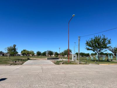 Devoto plantará 70 árboles para honrar a los inmigrantes fundadores