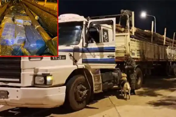 Secuestran más de 1.600 kilos de marihuana ocultos entre postes de eucaliptus