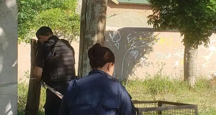 Abuso en 9 de Julio y Thorne: la víctima ratificó que fue violada y denunció amenazas