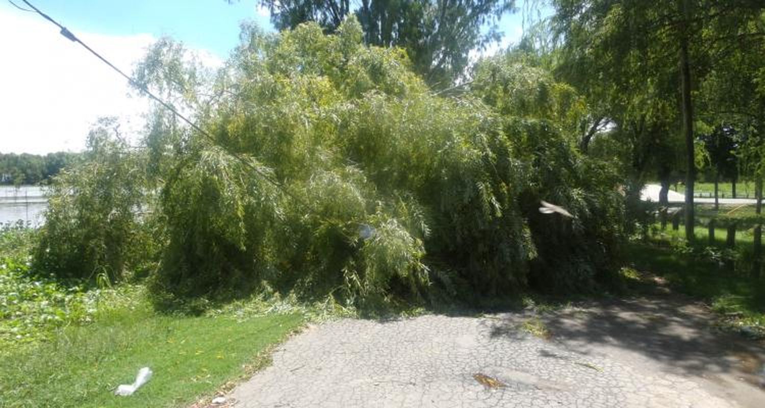 Creciente: Municipio reitera que está prohibido transitar por la costa y el Paseo Público