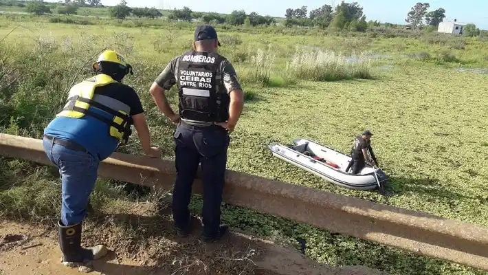 Video: Así fue el operativo para recuperar el auto que cayó desde un puente