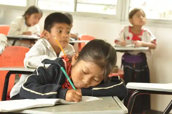 Salvar entre todos la educación herida           