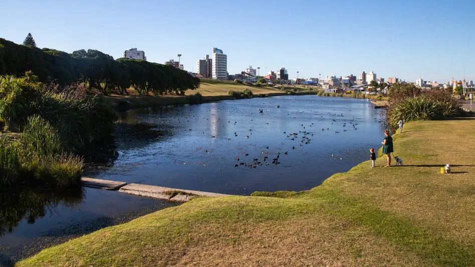La importancia de respetar los entornos naturales en Mar del Plata